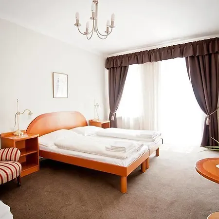 מלון Boutique U Solne Brany 3*