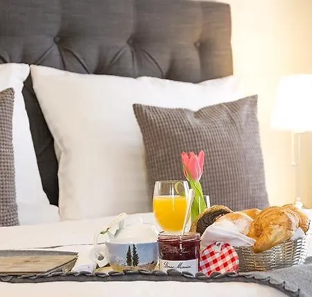 Boutique U Solne Brany 3* Ceske Budejovice