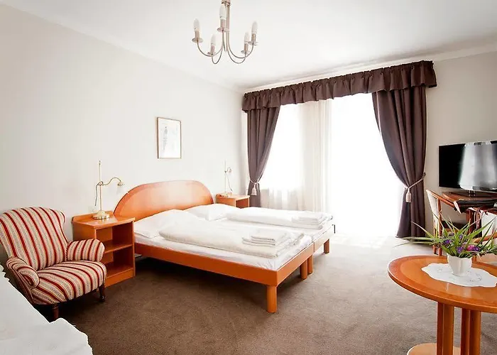 호텔 Boutique U Solne Brany 3*